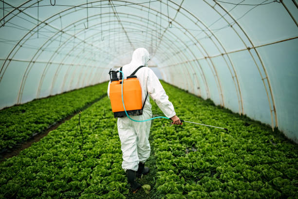 Best Local Pest Control Services  in Lake Wazeecha, WI