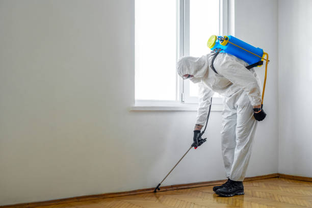 Best Wasp Removal Services  in Lake Wazeecha, WI