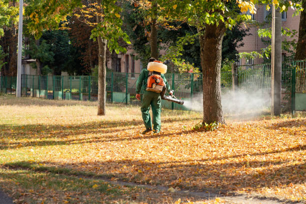 Best Affordable Pest Control Services  in Lake Wazeecha, WI