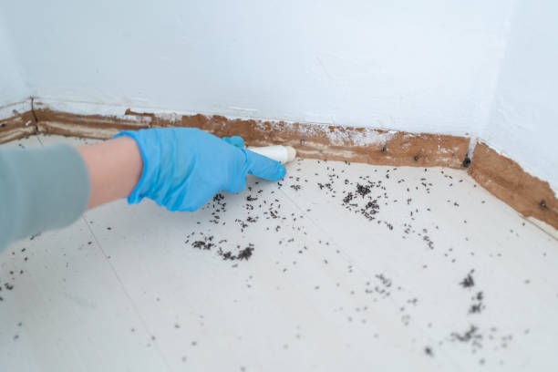 Best Affordable Pest Control Services  in Lake Wazeecha, WI